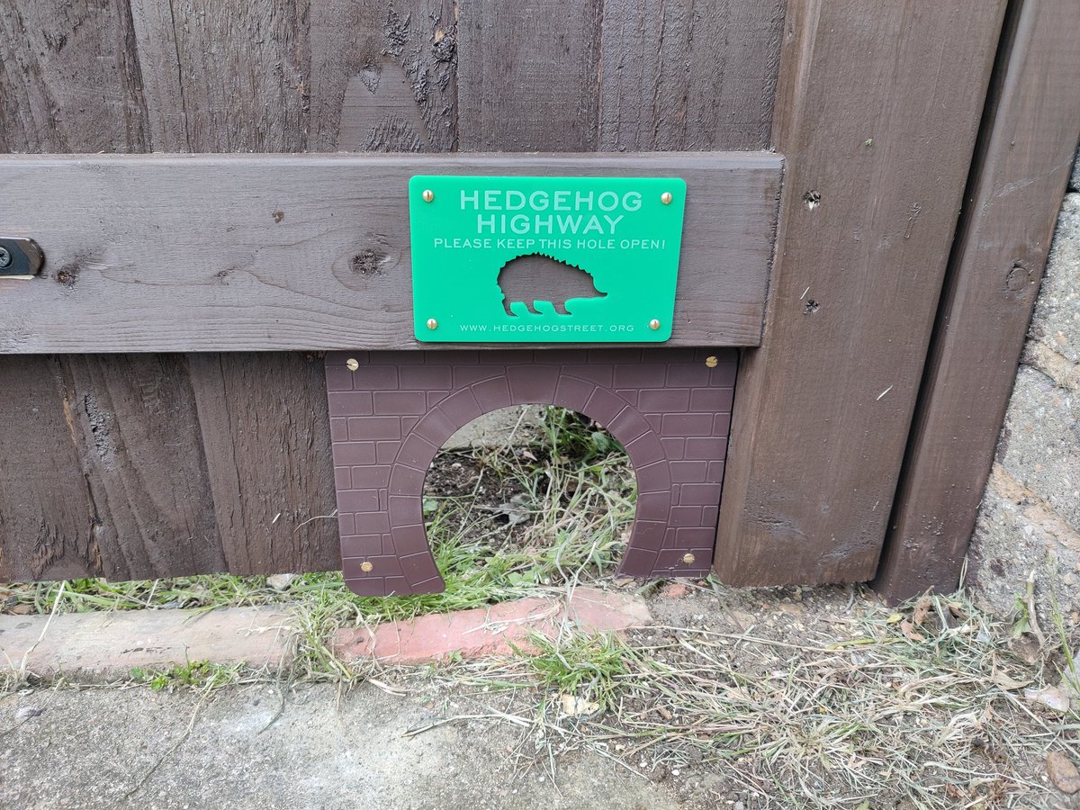 @hedgehogsociety @PTES Fitted to my new gate 🦔