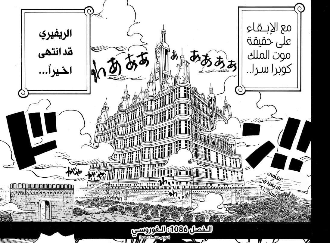 Scopper_Gapan tweet media