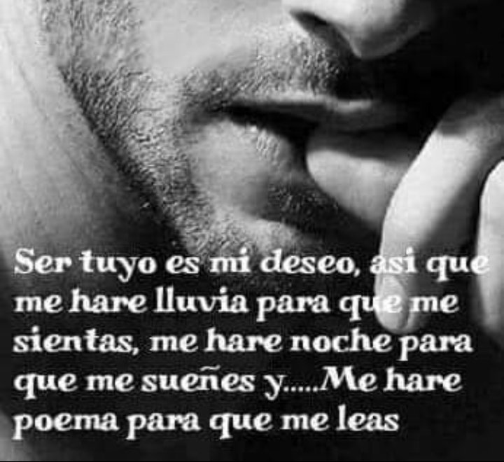 ❤️🦁❤️🦁