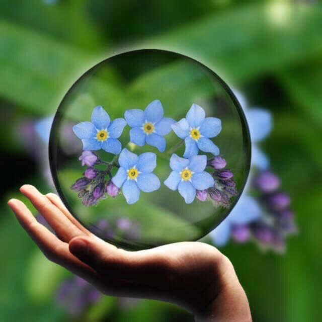 FinlandPictures's tweet photo. Happy June!🌿🔆🌿🌅🌿🤗#june #summer #suomi 🇫🇮 #finland 🇫🇮 https://t.co/GLSAmvhu6K