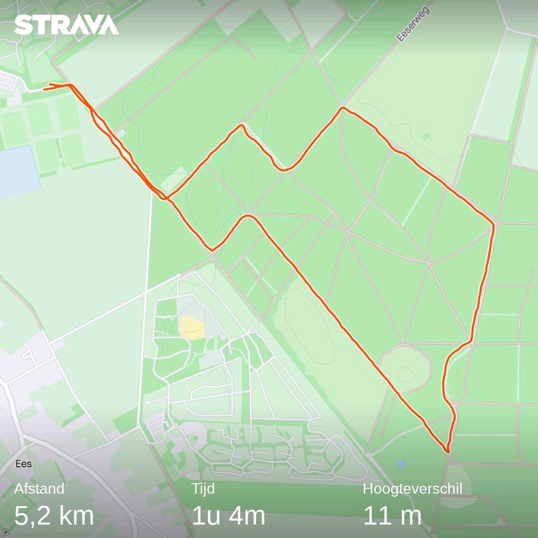 Jeroen Perdok tweet media