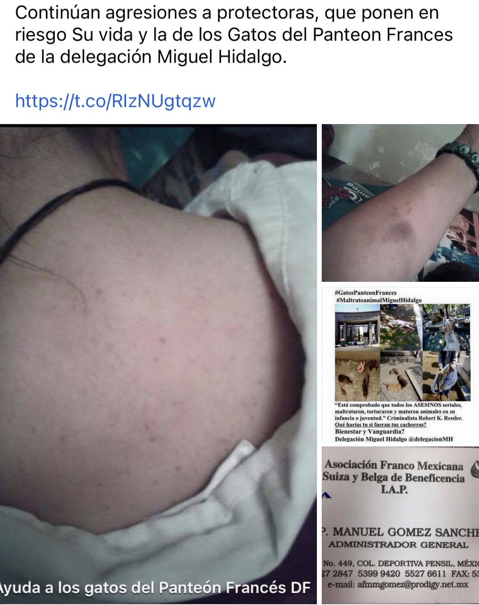 MorenaMia25's tweet photo. .@c4jimenez Justicia divina o sus transas con las criptas… ambos mataban a #GatosPanteonFrances @mauriciotabe @Claudiashein @ErnestinaGodoy_ 7 Años de acoso y asesinatos de animales… hoy mataron a un humano. https://t.co/c8drihufRS
