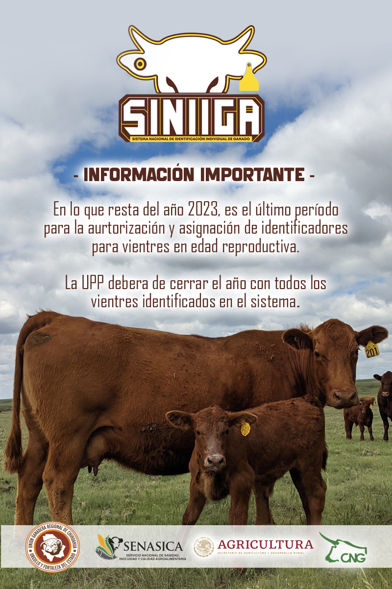 UGRCHI's tweet photo. Último período para la autorización y asignación de identificadores para vientres https://t.co/VNfnONknXF