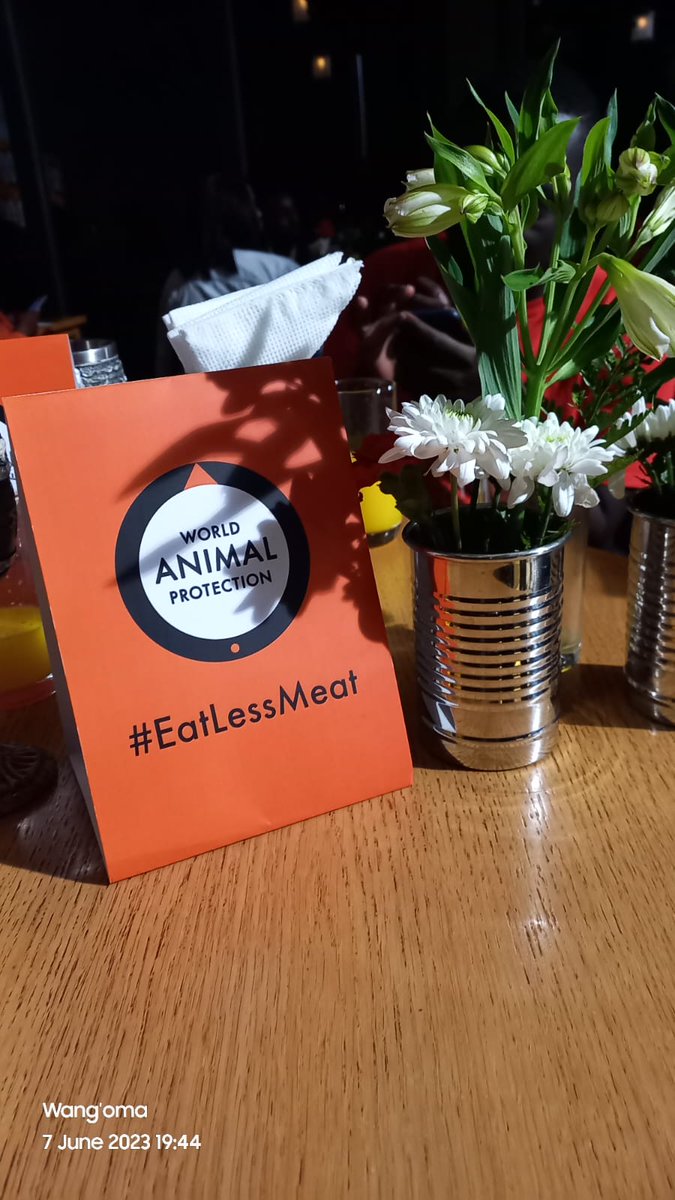 Wangoma_tweets's tweet image. Around two in every three farm animals are factory farmed (that's over 50 billion  every year!). These intensive systems put production above welfare and health, creating vast quantities of meat, milk and eggs.

#EatLessMeat

World Animal Protection @MoveTheWorldAF