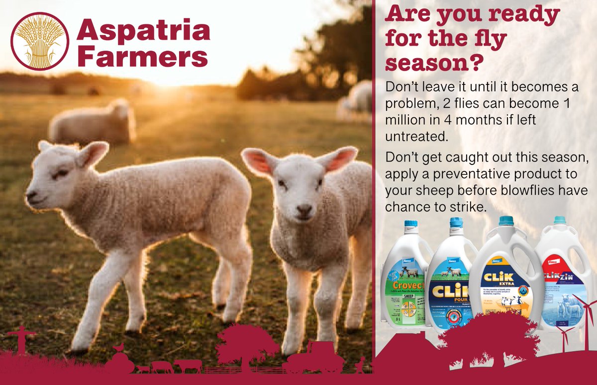 Don't let flies affect your profit this season 🦟🦟🦟

With animals being affected with fly strike already this season, don't leave it until it becomes a problem.

Speak to one of our in store RAMAs ( registered animal medicine advisors) to discuss the various options available.