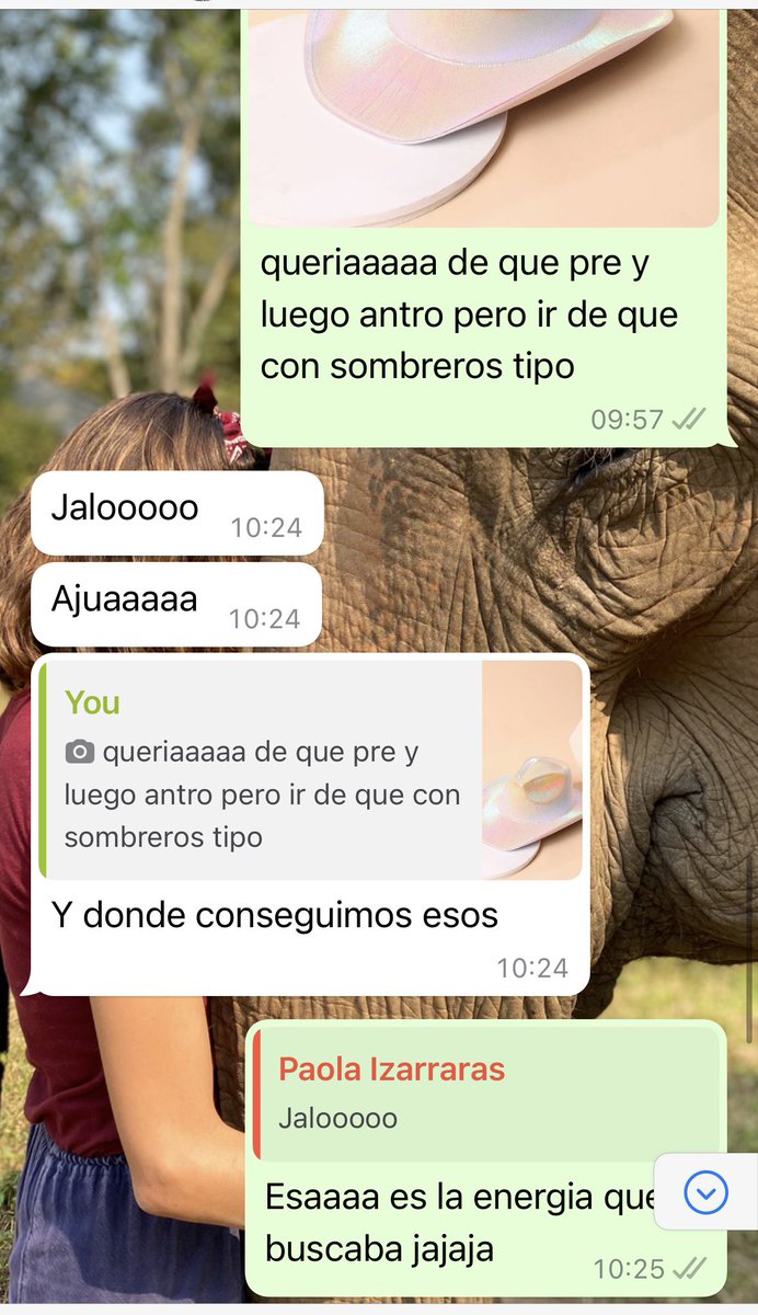GualyMaria's tweet photo. Tengo el sueño guajiro de ir al antro con mis amicos y sombreros vaqueros.

Gracias a todos aquellos que aún bajo protesta, estarían dispuestos.

Perdonnn por ser tan ridícula, los tqm💕 https://t.co/mqQHqbqj6s