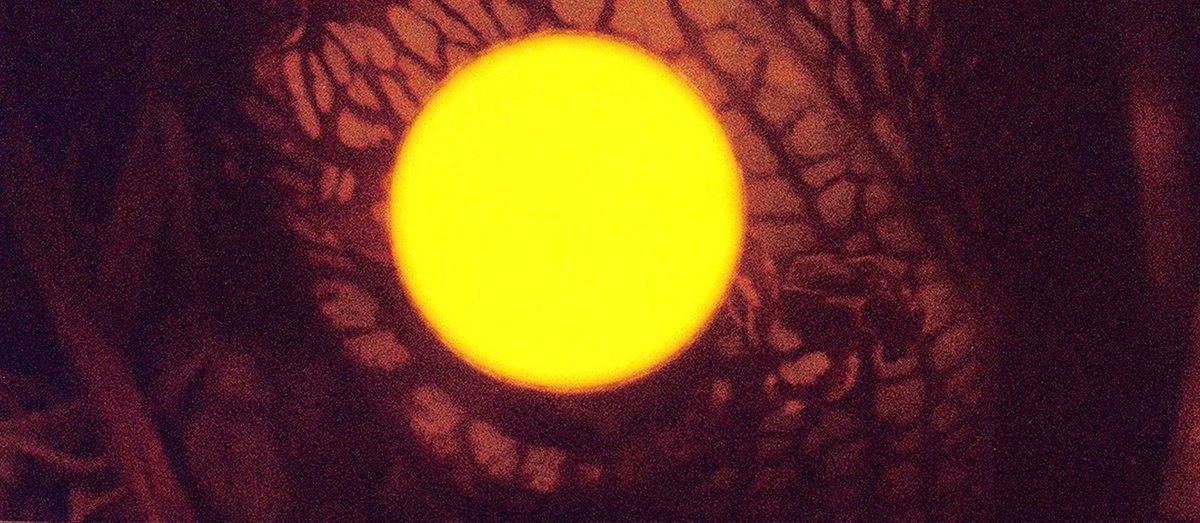 No dia 10 de junho, a partir das 16h00, inaugura, na Galeria Ocupa, a exposição "Bouquet" de Daniela Ângelo. Este projeto transforma as imagens que gravitam no atelier da artista em visões delirantes e embriagadas, cheias de aberrações cromáticas. buff.ly/3CgvM4l