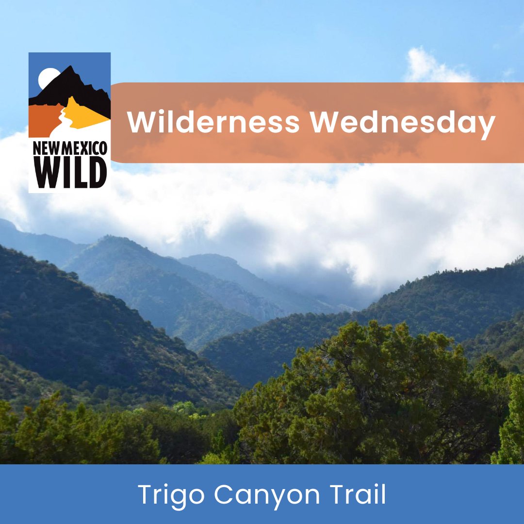 nmwild's tweet photo. Happy #WildernessWednesday! Today we're featuring a hike that has it all. The Trigo Canyon trail, in the #ManzanoMountainWilderness, guides you past multiple waterfalls, a shallow cave, and a forested valley, ending with incredible views. #nmwild
More at https://t.co/dkQwY9HcFC https://t.co/XMNijtCS28