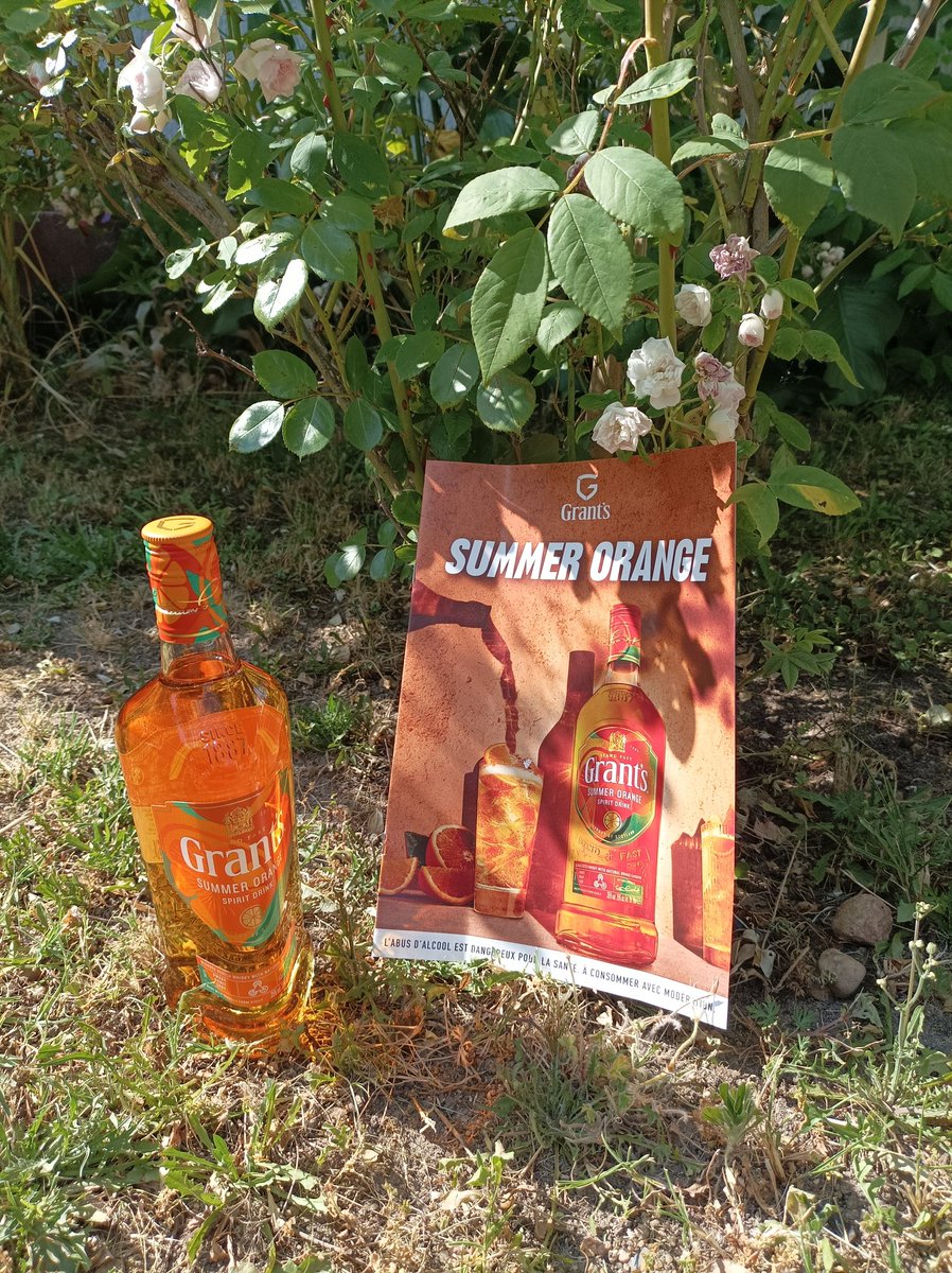 lindaslimani8's tweet photo. 👉 J'ai bien reçu mon colis @grantswhiskyfr Grant's Summer Orange🍹😋
Merci #GrantsSummerOrange Sampleo
#SummerOrange #Grants #GrantsSummerOrange #whisky #apero #testeuse #influenceuse #test #orange #produitoffert #decouverte #sampleofrance #sampleo #aconsommeravecmoderation https://t.co/vZWyr3kHeL