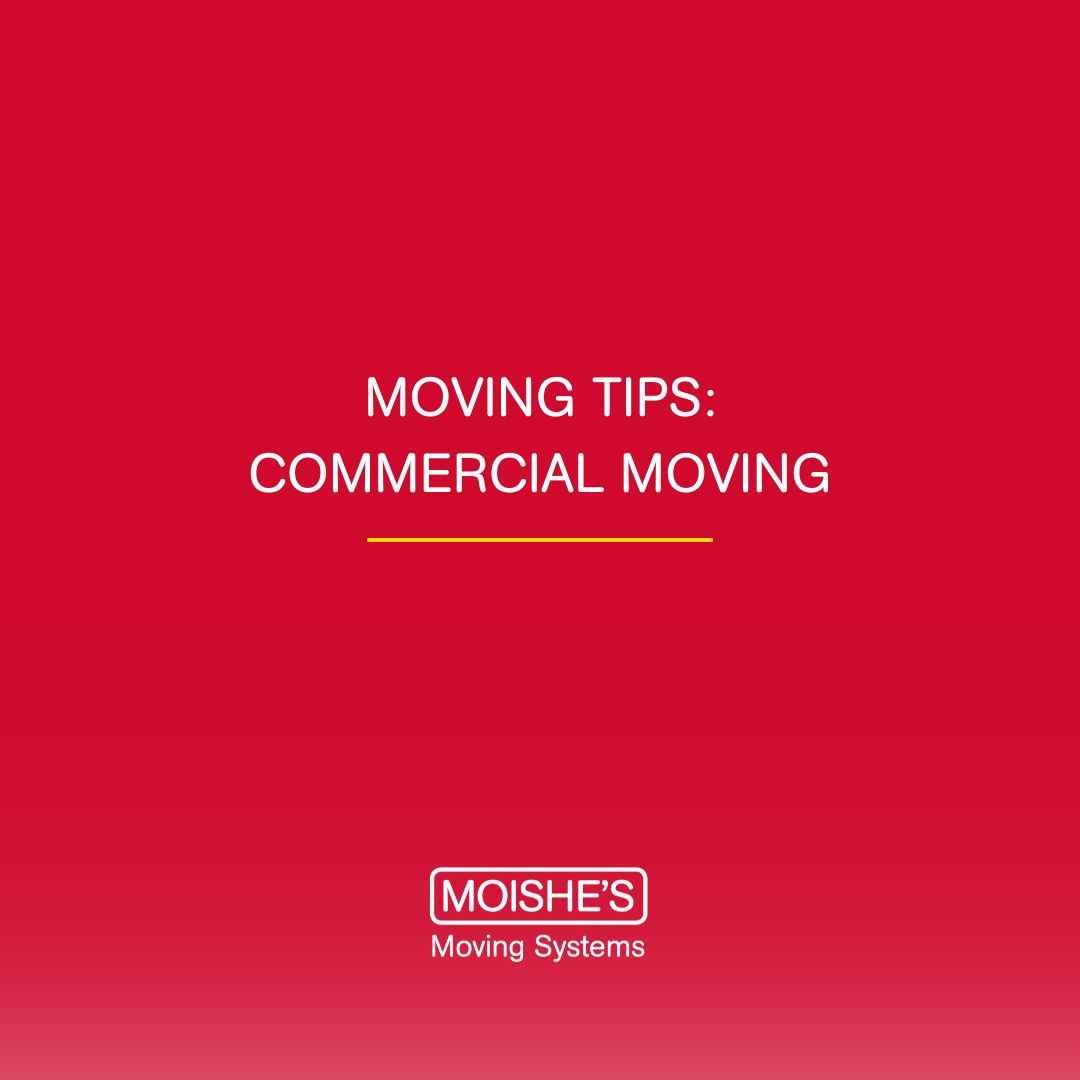 Moishe's Moving tweet media