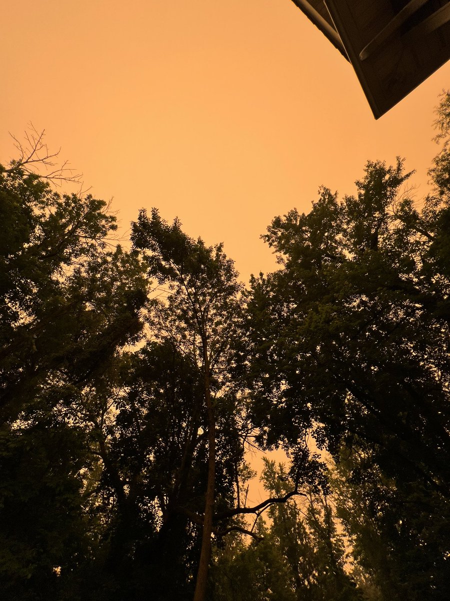 Leonia, NJ  1:46PM #AirQualityAlert #smoke #wildfires #CanadaFires