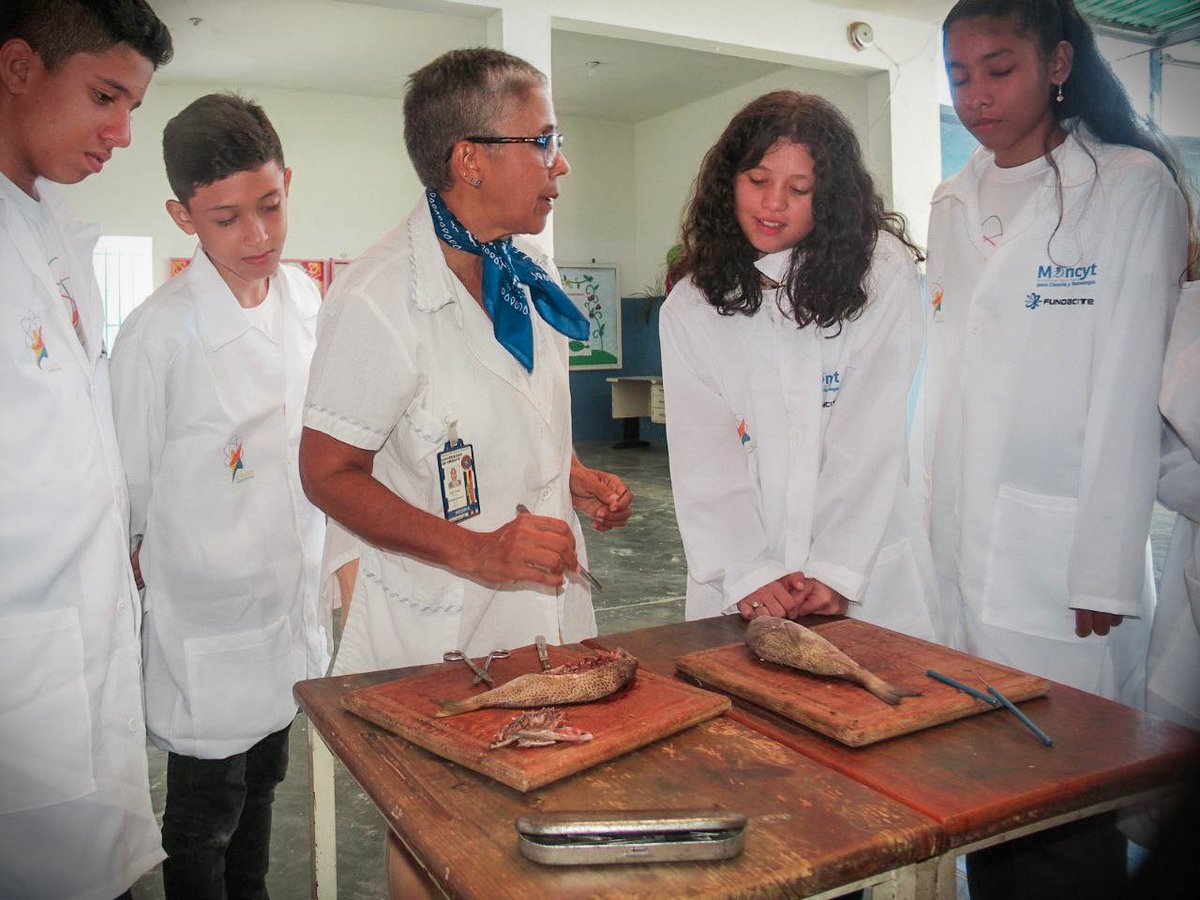 semillerosc_'s tweet photo. Los niños y niñas de la U.E Don Rómulo Gallegos aprendieron sobre la #evolución de los #vertebrados con la MSc. Tania Ramírez de la #UDOSucre y @fundacitesucre. ¡Gracias por su apoyo a nuestros #SemillerosCientíficos del estado #Sucre! 🐟🐸
#BiologiaMarina #Océanos #VidaMarina https://t.co/BilnXlgfoM