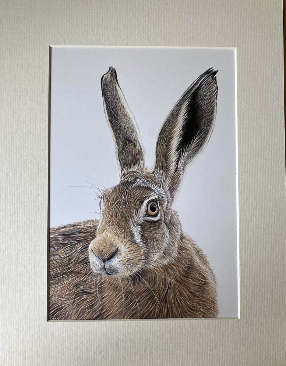 Also still looking for a new home.