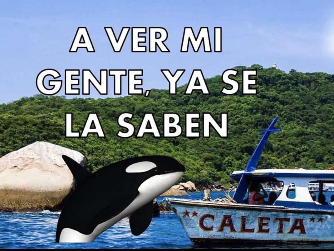 Pez_out's tweet photo. Sin piedad, Gladis https://t.co/3OoxcHfuq8