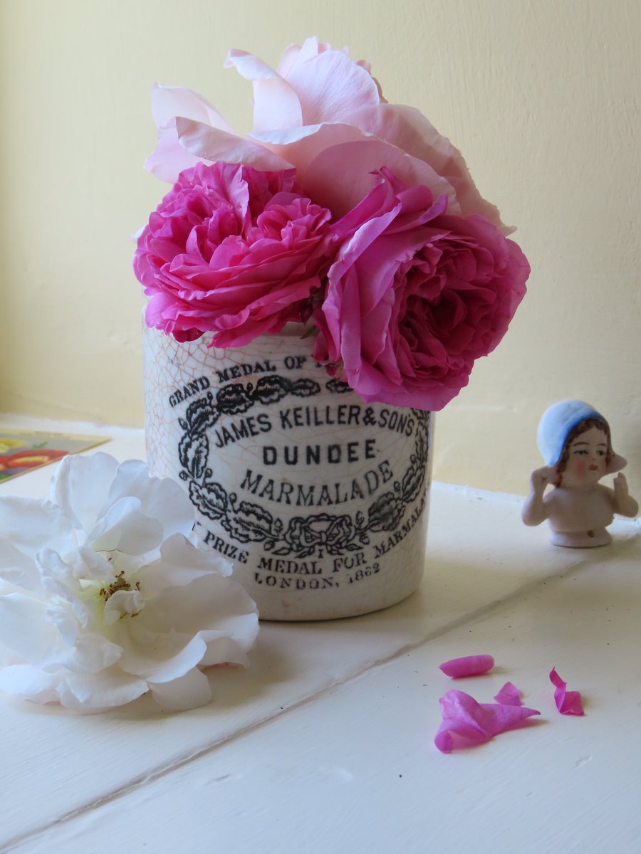 Good evening #womaninbizhour what a lovely day it’s been, really hot here in Devon. We have lots of antique pots in our Etsy shop tuppenceandseahorse.etsy.com perfect for your lovely flowers.