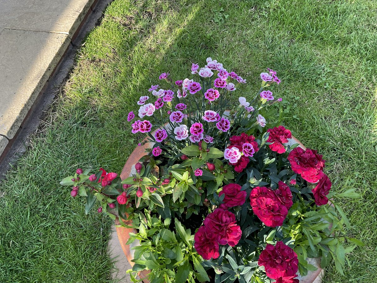 winker_watson's tweet photo. The magic has started. @GardensHour
#NottinghamInBloom π https://t.co/ztxNh21CGa