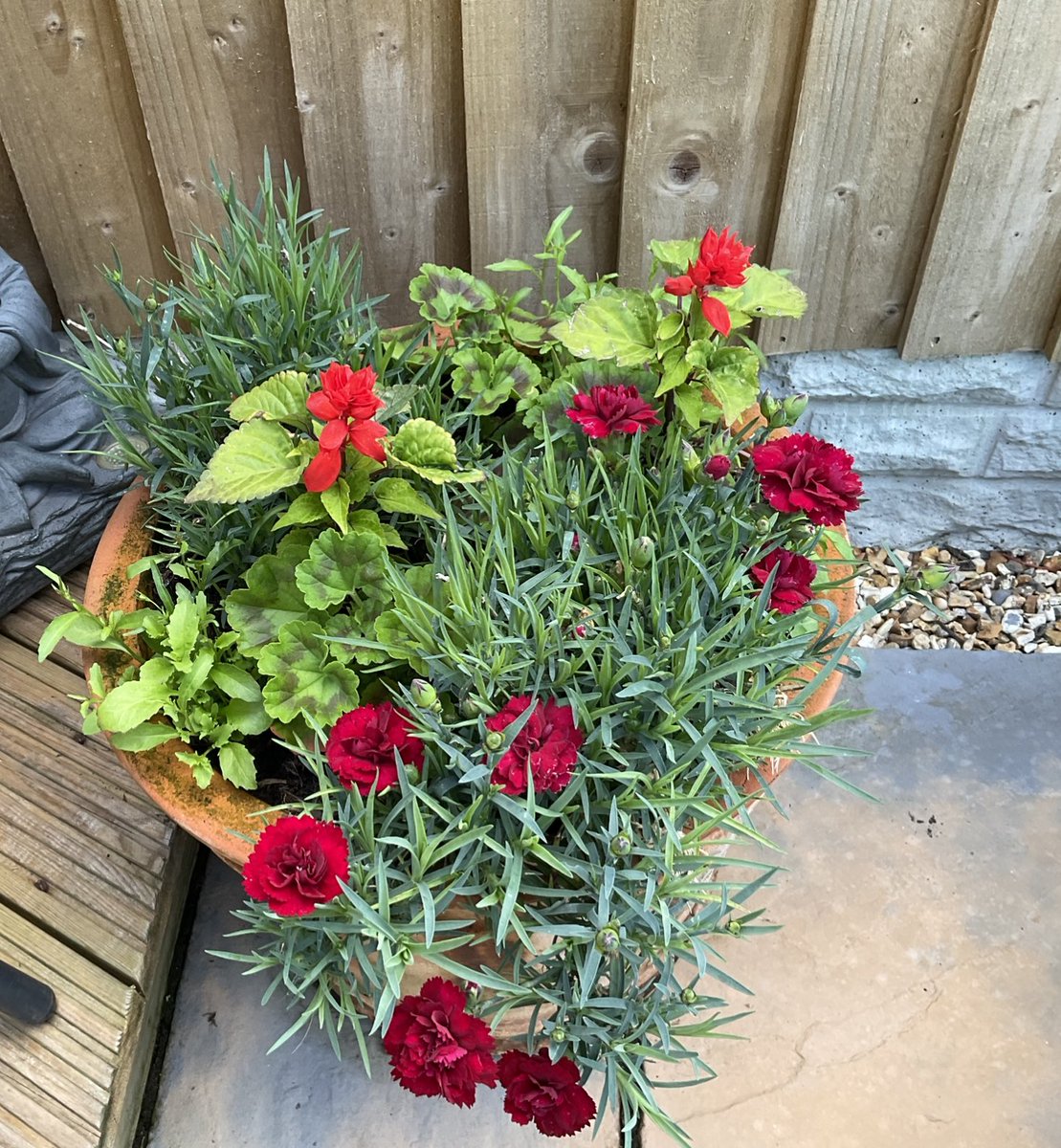 winker_watson's tweet photo. The magic has started. @GardensHour
#NottinghamInBloom π https://t.co/ztxNh21CGa