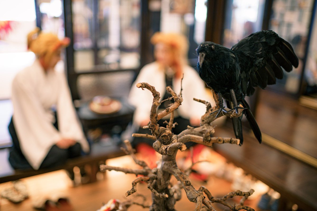 #렌고쿠가에_다녀오겠습니다

안녕하세요.
카쿠시 스탭 렌렌입니다.

후기를 다 쓰면 정말 모든게 끝나는 느낌일 것 같아서 미루고 미뤘는데… 점점 기억이 희미해지고 있어서😭
기록해두면 언제라도 이 추억을 꺼내먹고 행복할 수 있을거라는 생각으로 차근차근 타래를 써내려가 보려고 합니다.