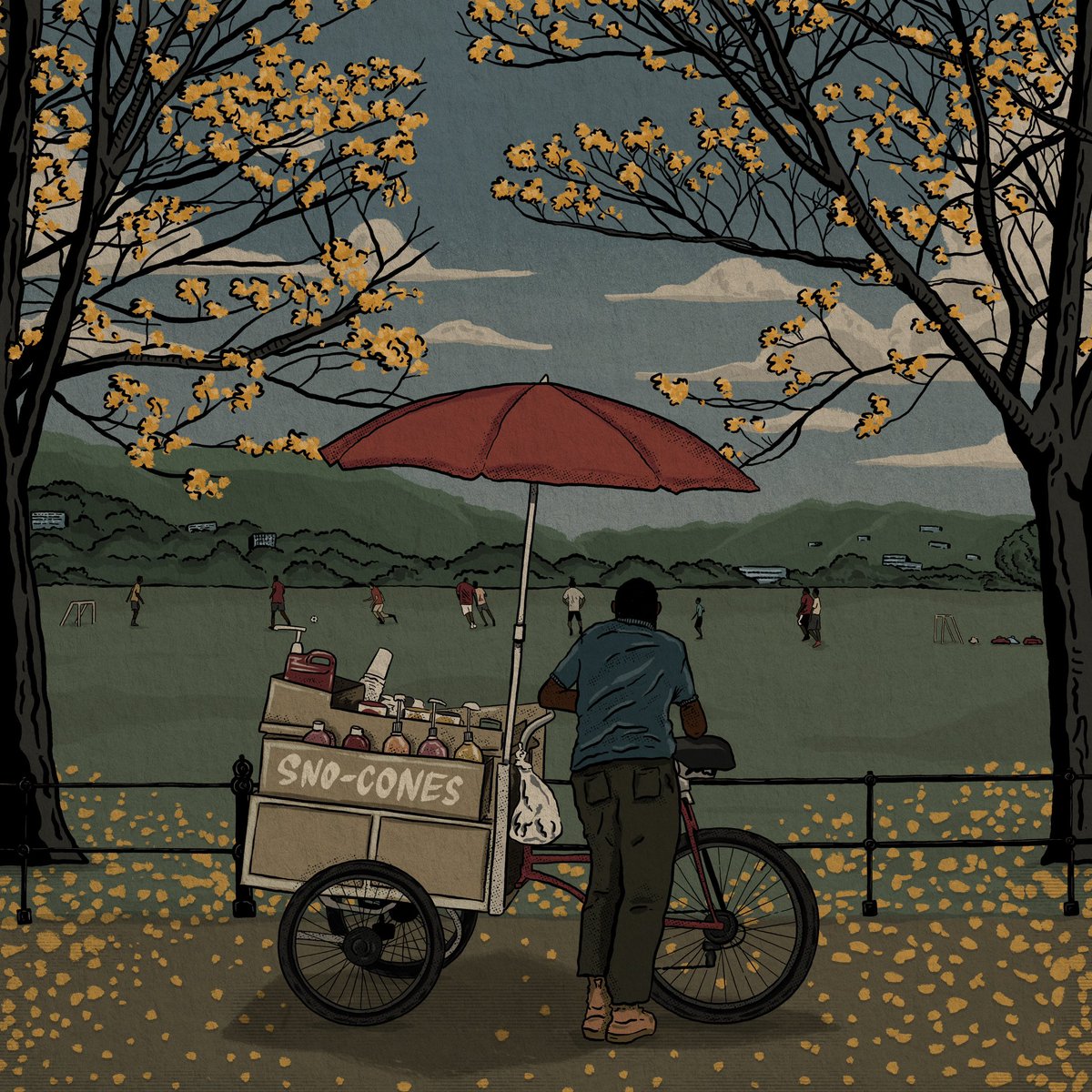 ✨A Sno-Cone vendor takes a break to watch some small goal football in the Queen’s Park Savannah in Trinidad. 🇹🇹