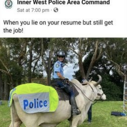 Petition for police cows! 😂
Sign your name here! 🐮🚓

#armedforces #military #britisharmy #militaryhumour #veteran #soldiers #armylife #cadets