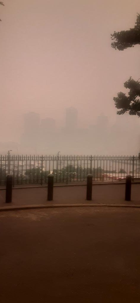 Canadian trees smell weird.