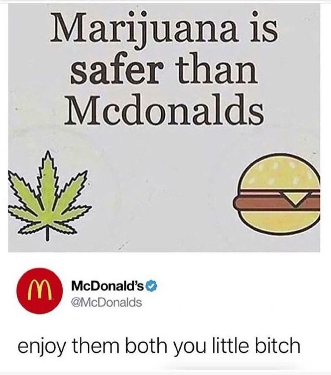 little bitch