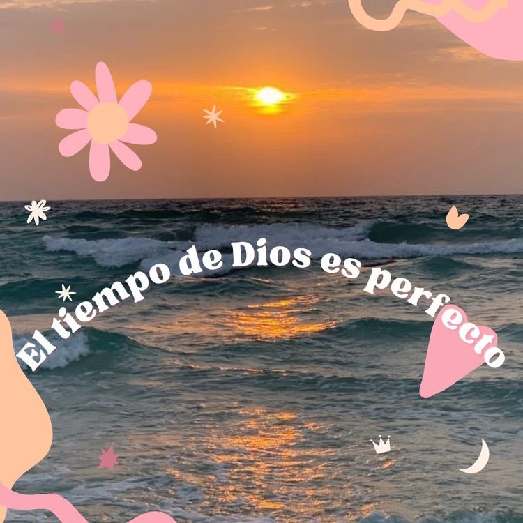 ⭐️🩷💓✨