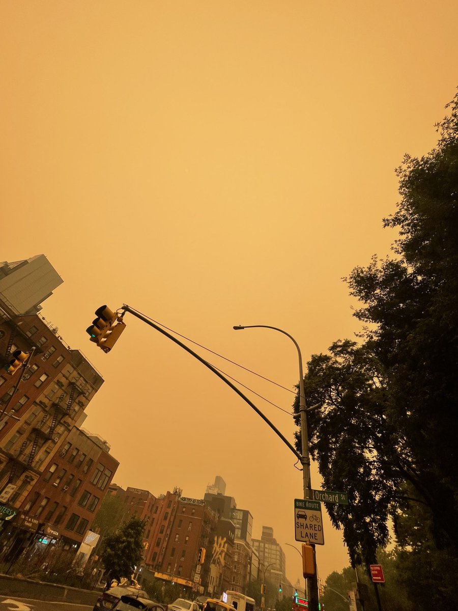 Helene Laube tweet media