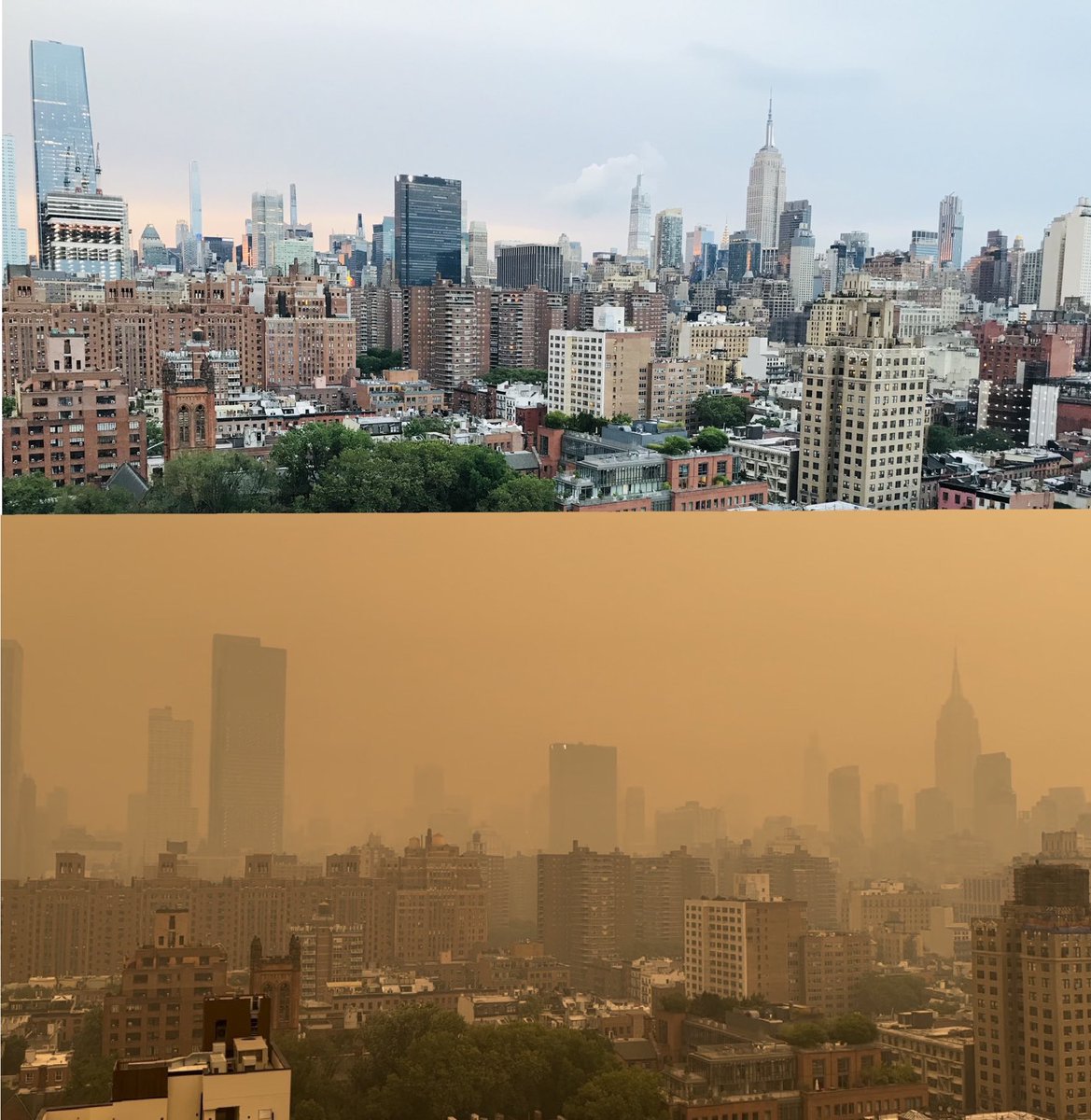 Christina L. tweet media