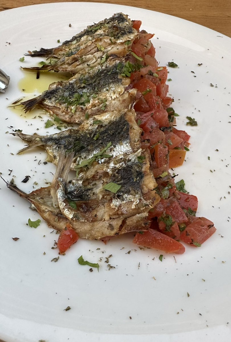 blocaus00's tweet photo. Tessalònica ( Salònica ) . 
Bona rebuda , polý kalá !!!!!!!
#Seabass #Llobarro excels ! https://t.co/y2NFxzZ6Va