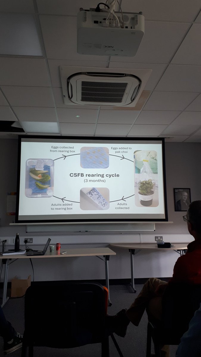 Laura Bouvet tweet media