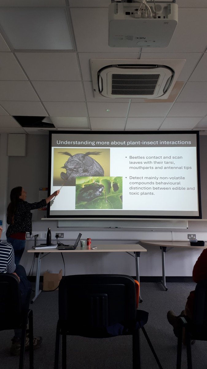 Laura Bouvet tweet media