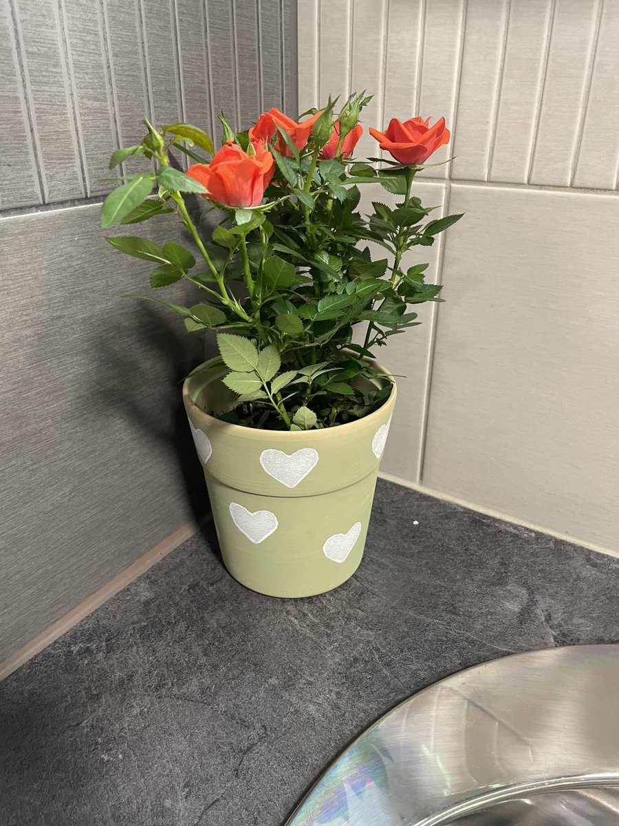 Taas alkaa turistikausi. Niin pienillä asioilla on väliä siihen, miten ihmiset viihtyvät. Joskus sitä voi vain ilahtua siististä yleisövessasta kera kukan.
#TuohikottiABC