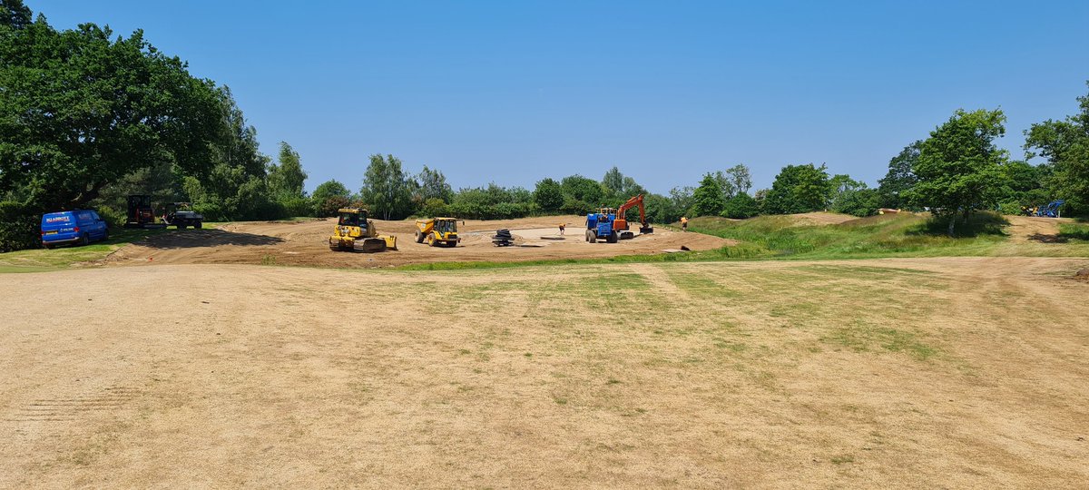 The Dimpled Egg tweet media