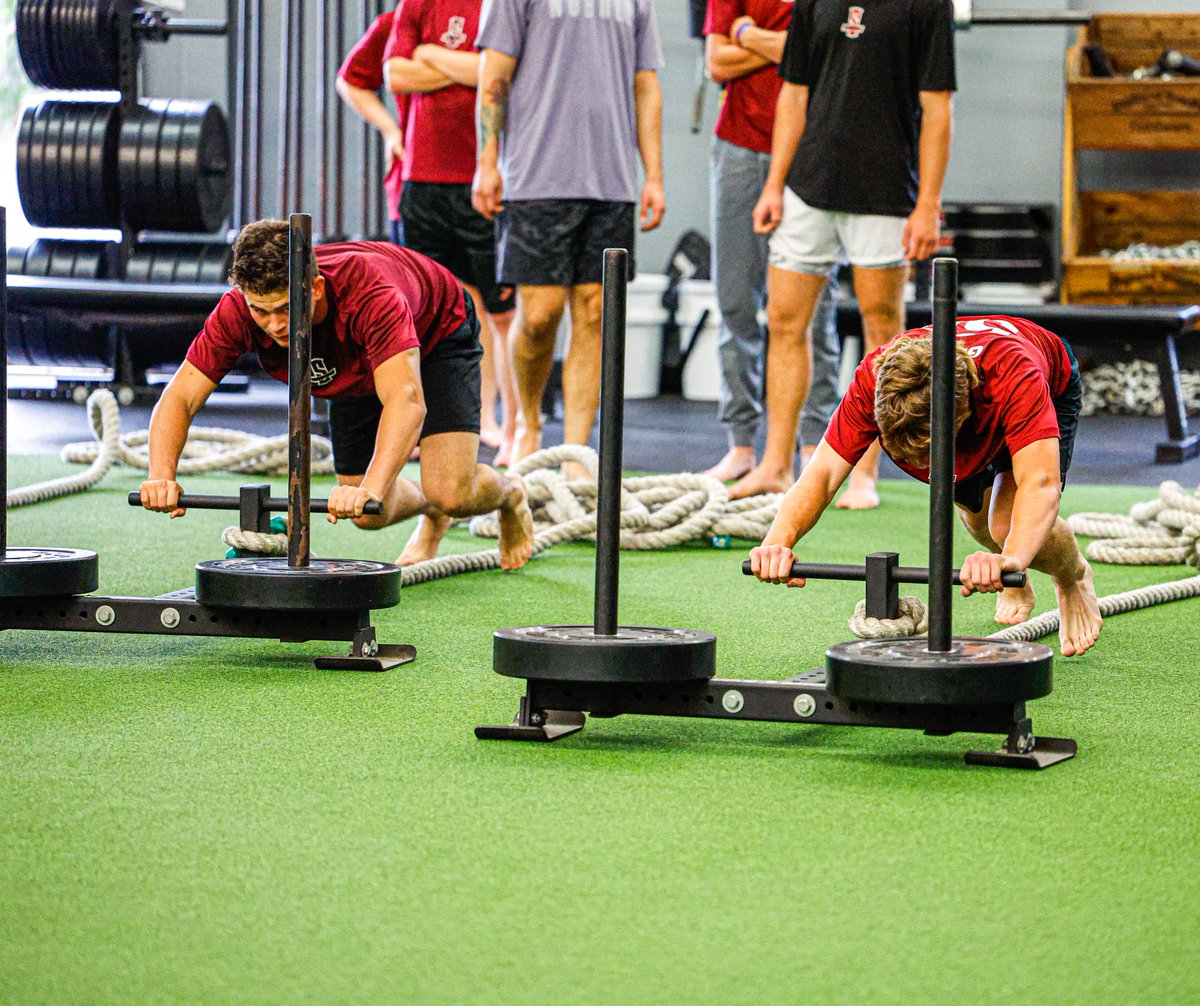 Scorpion Baseball tweet media