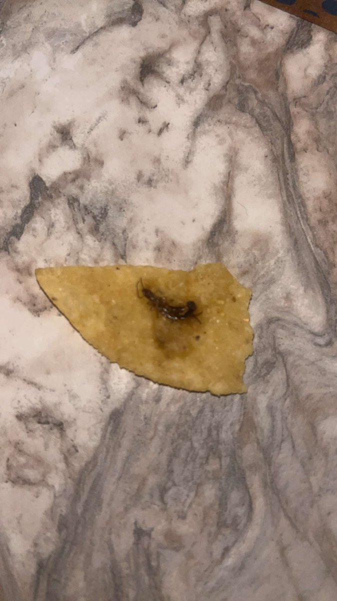 I love you <a href="/qdoba/">QDOBA</a>, but this is not good. I opened my bag of chips and this is the first thing I see.