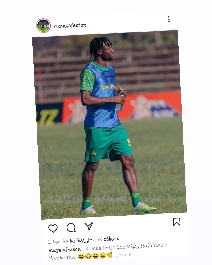 yanga_1935 tweet media