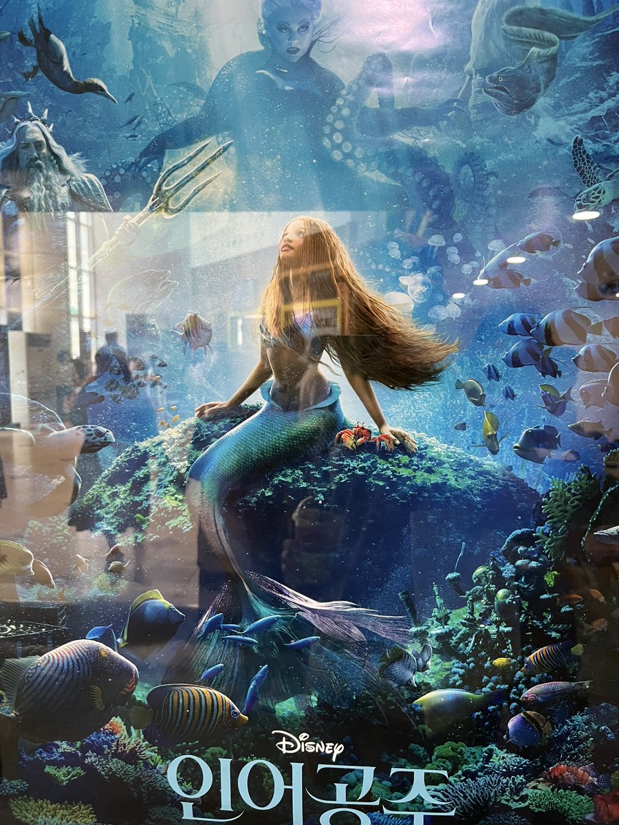 이일우 tweet media