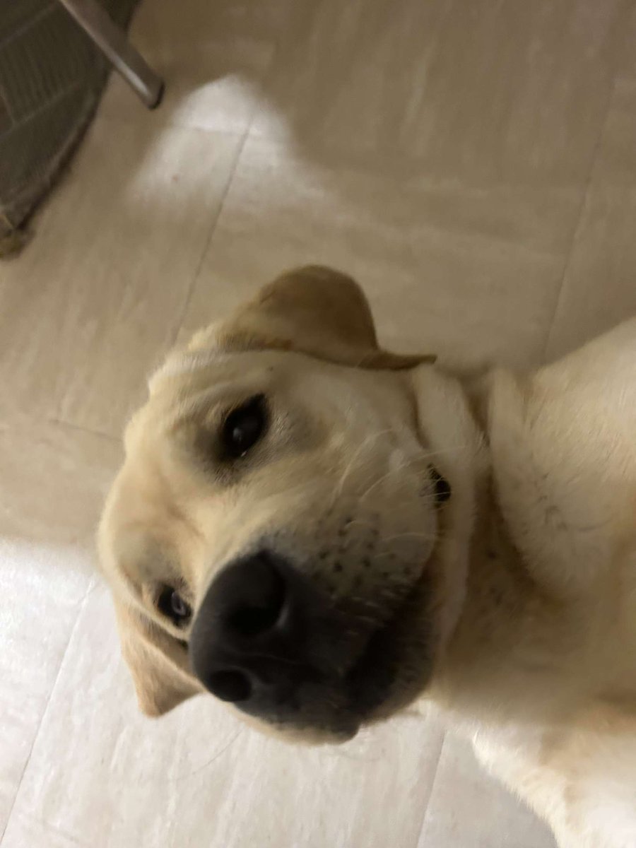 yassine.zipp 📄 🇲🇦 tweet media