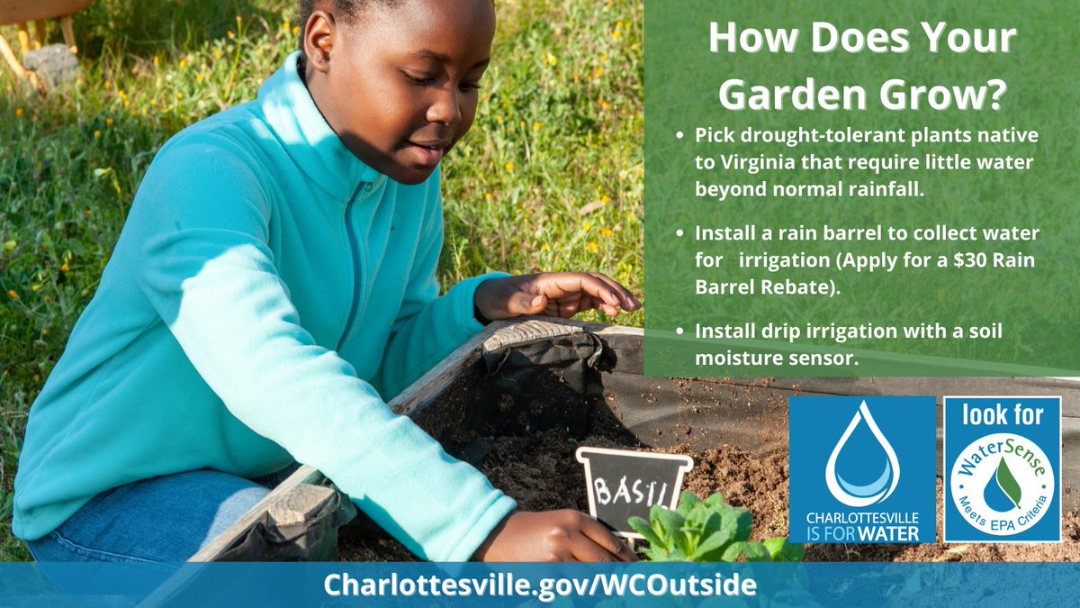 CvillePW's tweet photo. #WTW- #DYK that you can save water outside when you pick drought-tolerant plants native to VA for your yard🌱? These plants require little water beyond normal rainfall🌧.
Check out this AMAZING plant database specific: https://t.co/5XTneqGNVt
#WaterSmartLandscaping #CvilleWater https://t.co/wj57rgntdt
