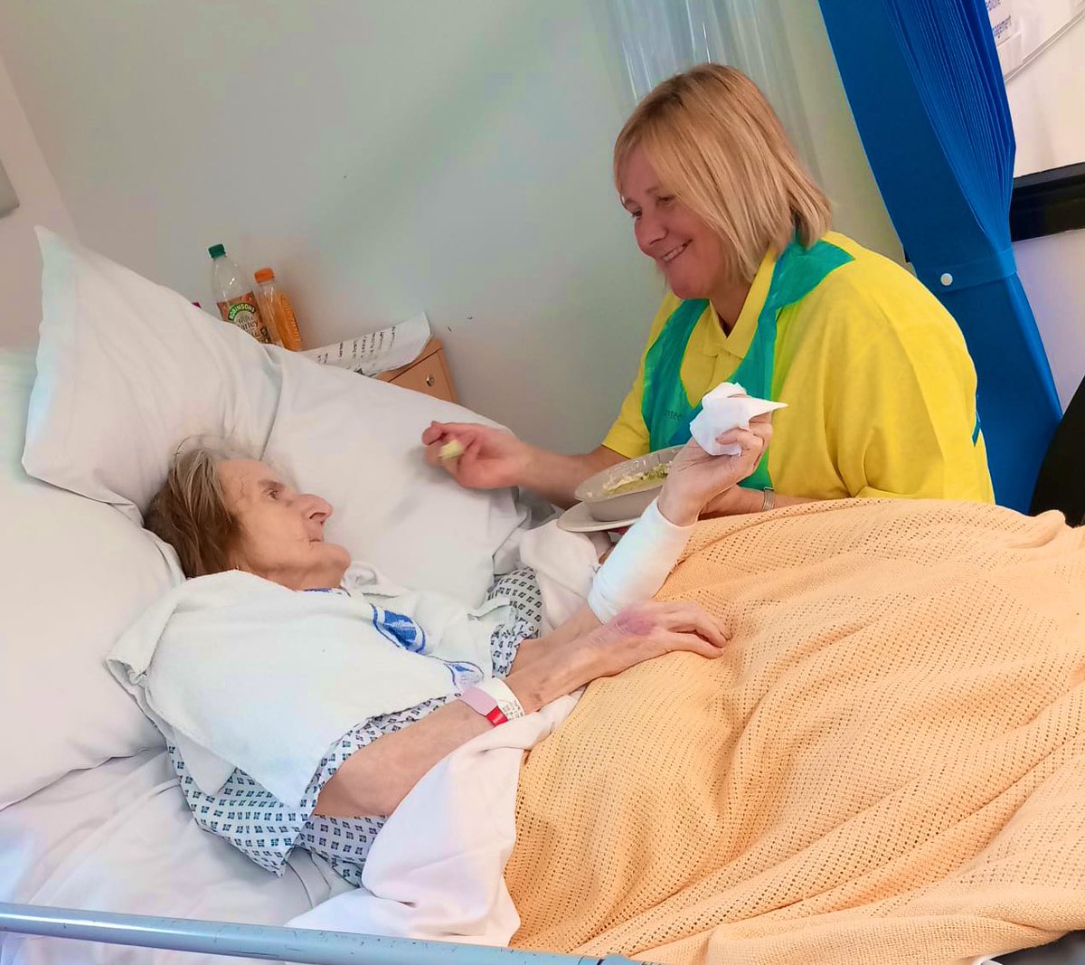 Lynette cook tweet media