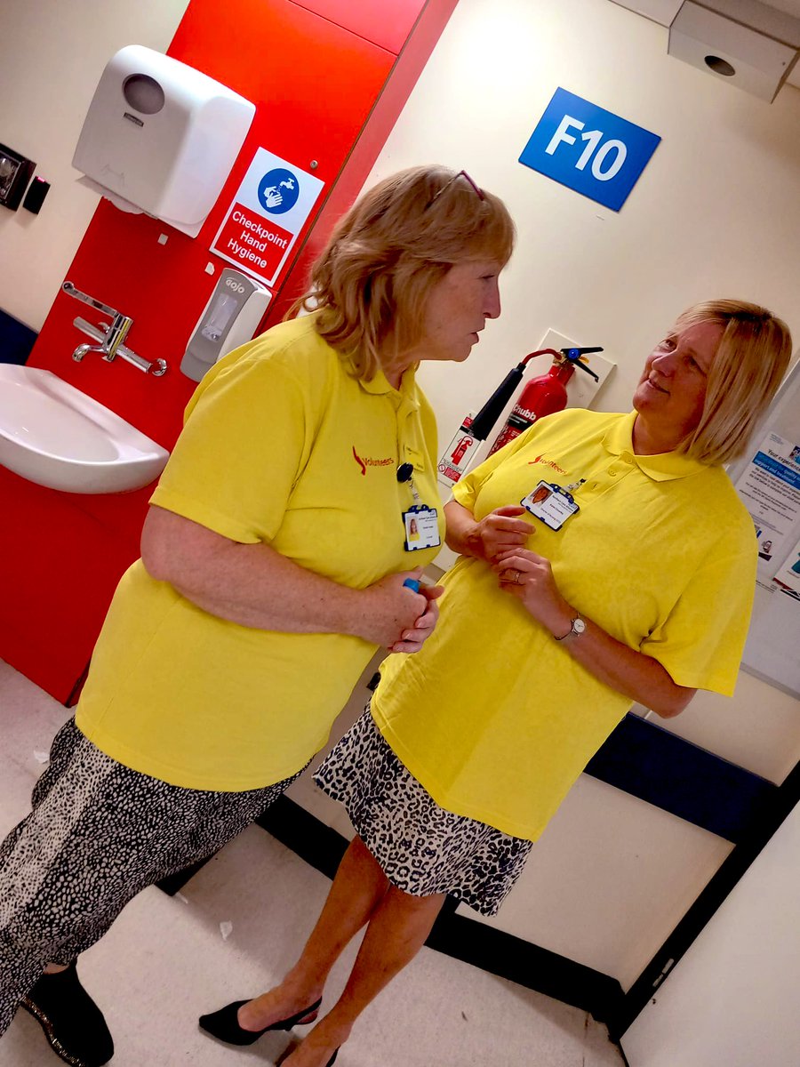 Lynette cook tweet media