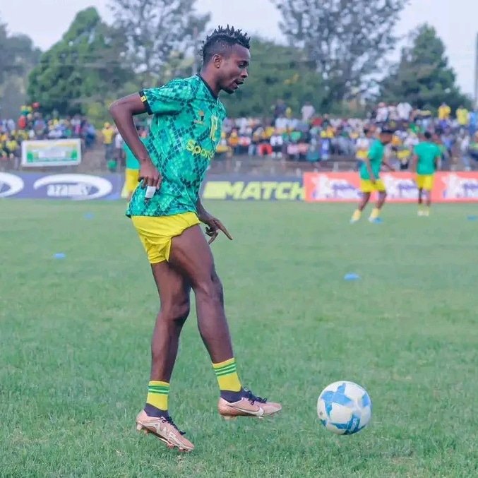 yanga_1935 tweet media