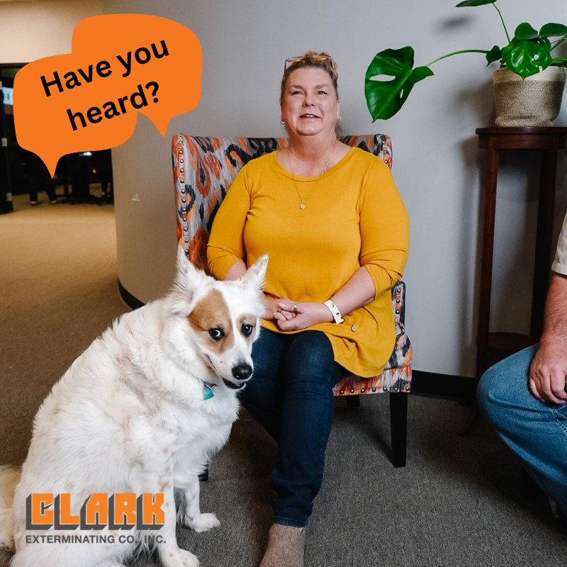 mybugproblem's tweet image. Have you heard?? if you haven&apos;t heard about our Community Engagement Program ask us about it at your next service.