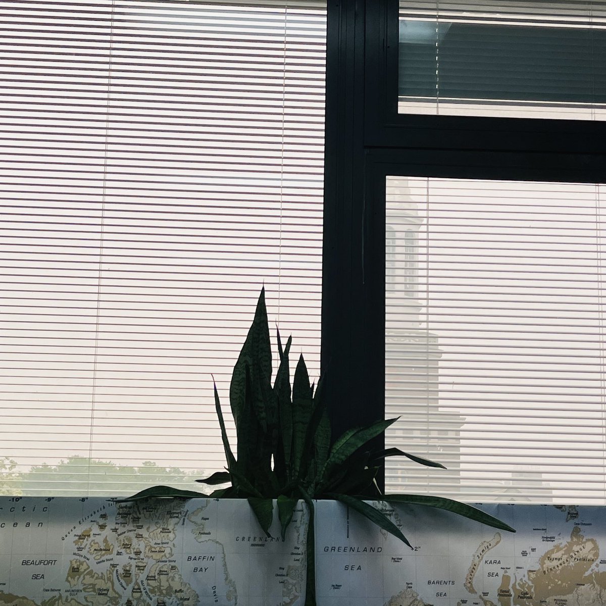 MSchvarzstein's tweet photo. Oh Canada…
From my office window at 2 pm! https://t.co/zoj3kwY9Rx
