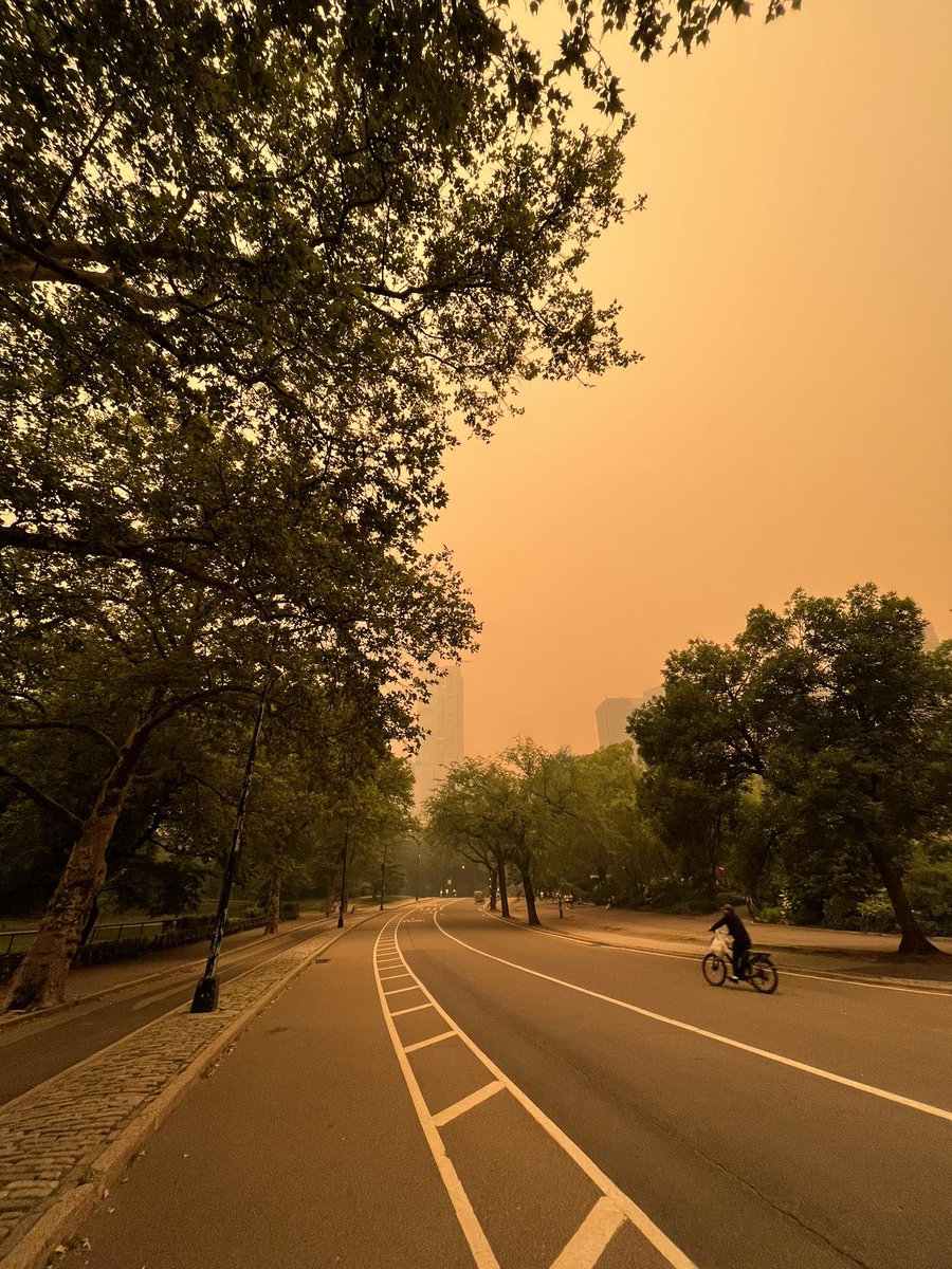 mattxiv's tweet image. no filter on these pics i just took in central park