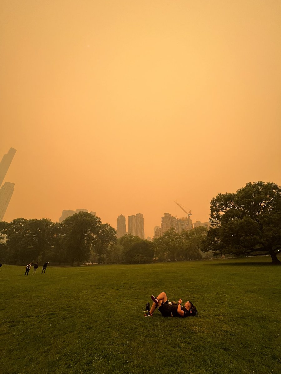 mattxiv's tweet image. no filter on these pics i just took in central park