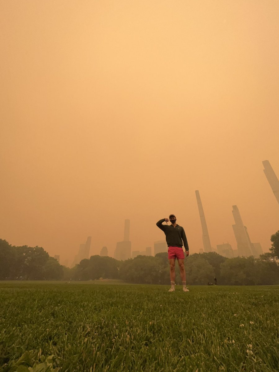 mattxiv's tweet image. no filter on these pics i just took in central park