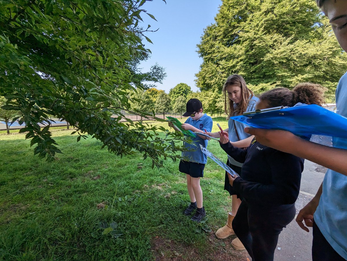 Ceisio enwi coed yn @HaileyPkCardiff Trying to name trees in Hailey Park today #30DaysWild #30DiwrnodGwyllt