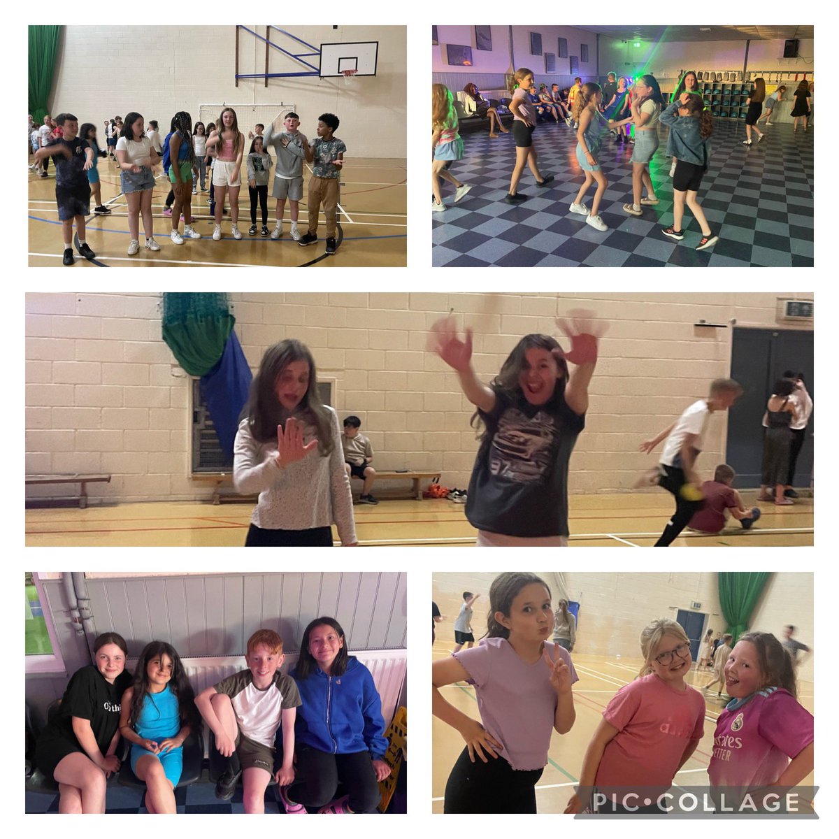 Rhigos Primary tweet media